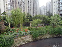 汇融悉尼湾达令港 中瑞汇融的理想家园